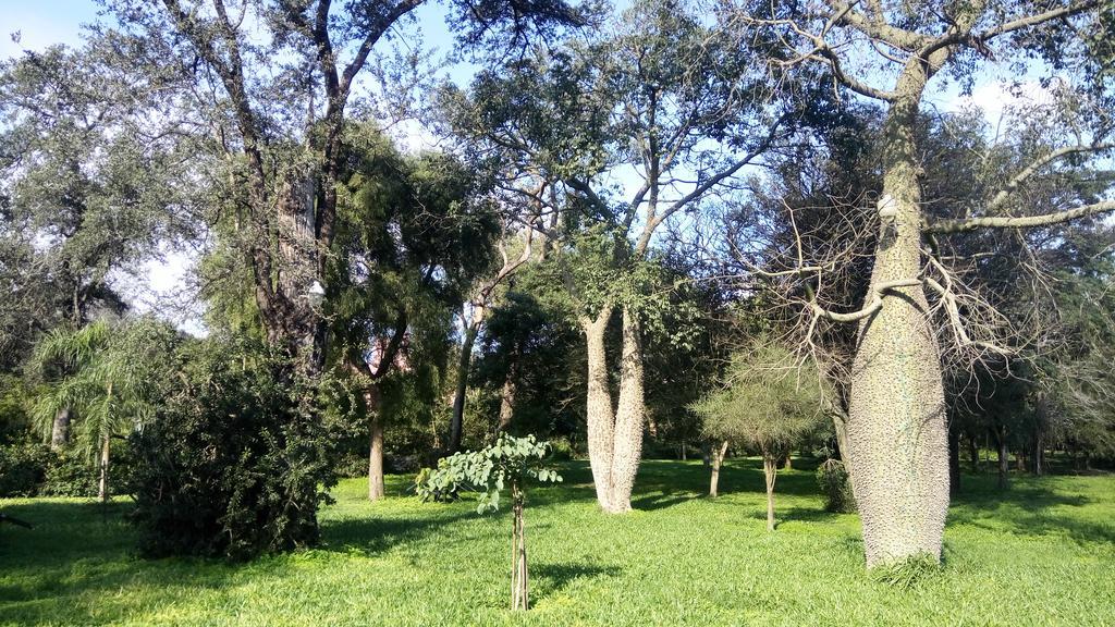 מלון Avia Terai Las Curiosas מראה חיצוני תמונה